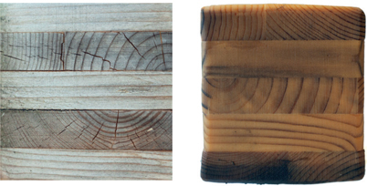 FIG 5.13 Weathered samples, from left: Top surface fully exposed to weather; Fully submerged (no air).