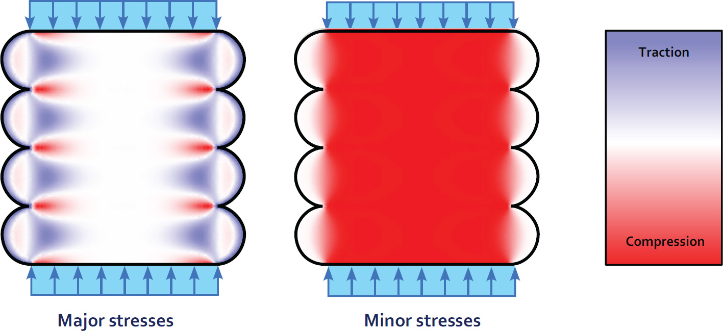 An image features a group of X-rays displayed in various colours, showcasing different types of stresses. The content includes aspects such as traction, compression, major stresses, and minor stresses. 