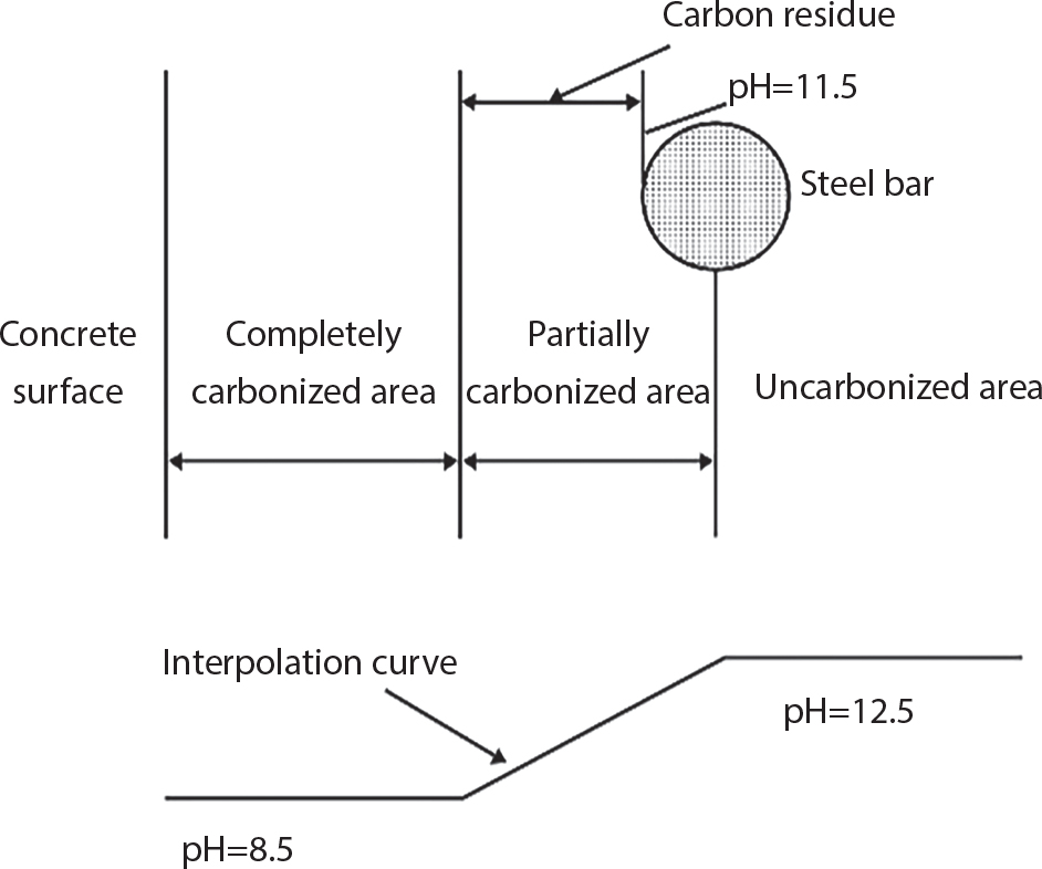 A cross-sectional diagram with vertical divisions indicating Concrete surface, Completely carbonized area, Partially carbonized area, and Uncarbonized area from left to right. A circular Steel bar with grid pattern appears in the partially carbonized section. Carbon residue points to an area with p H = 11.5. Below, an Interpolation curve rises from left to right between p H = 8.5 and p H = 12.5. Left-pointing and right-pointing arrows mark the boundaries between different zones. The diagram illustrates carbonization progression through concrete.