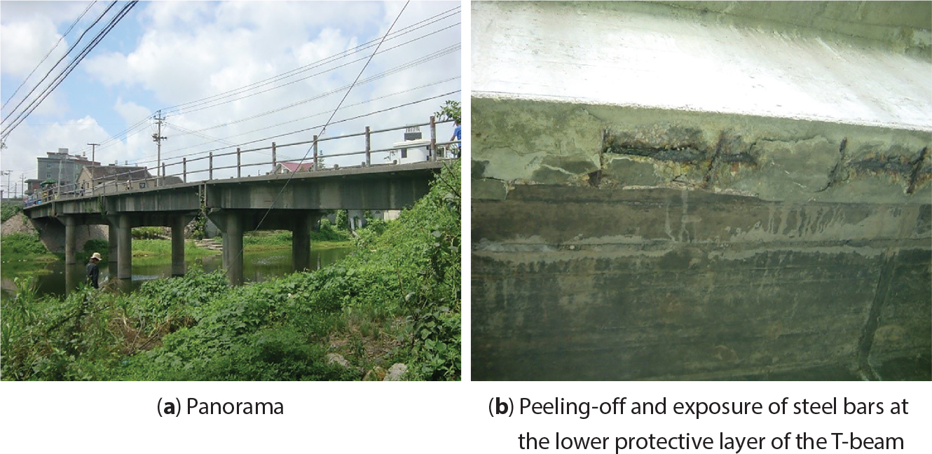 A two-part image labelled a and b. The left image a Panorama consists of a concrete bridge structure with multiple piers spanning across vegetation, with power lines visible overhead. The right image b Peeling-off and exposure of steel bars at the lower protective layer of the T-beam presents a close-up view of deteriorated concrete surface, where reinforcement bars are visible through damaged protective covering. Both images appear in grayscale format.